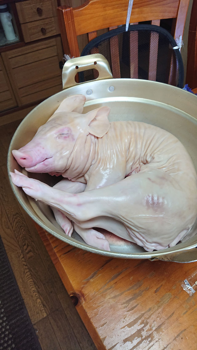 霊名の祝日　豚の丸焼き