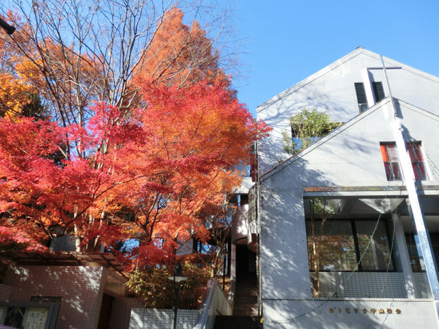 守山教会の紅葉 2012年